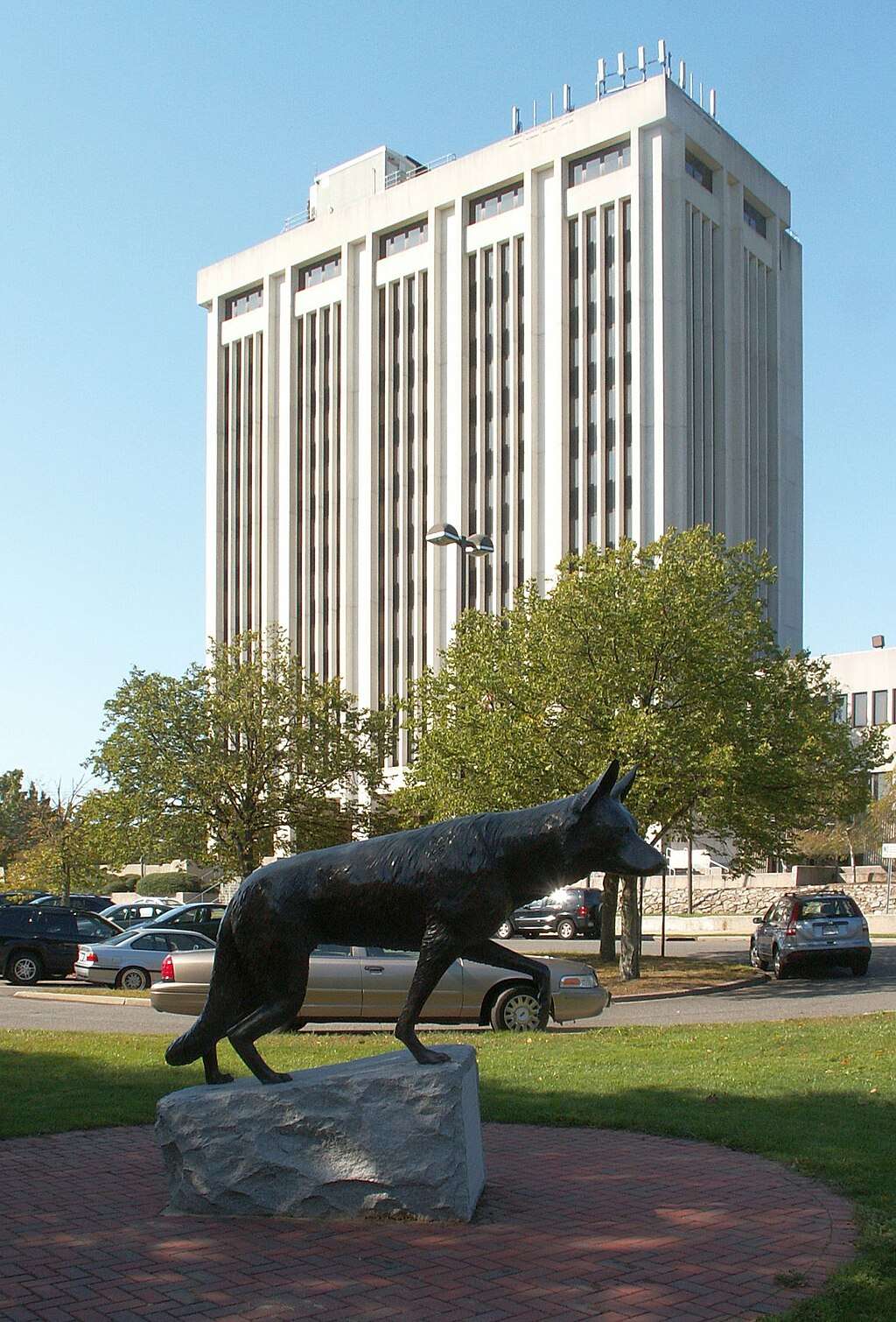 Wolf statue near tall office building